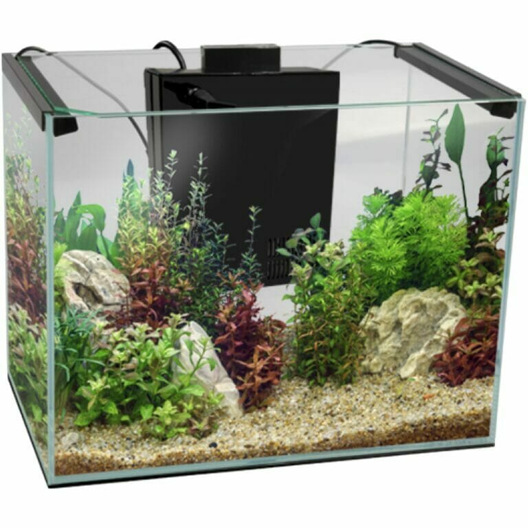 Aquarium Central Aqua One Lifestyle 29 Complete Glass Aquarium Gloss White 29L 38W x 25D x 37cm